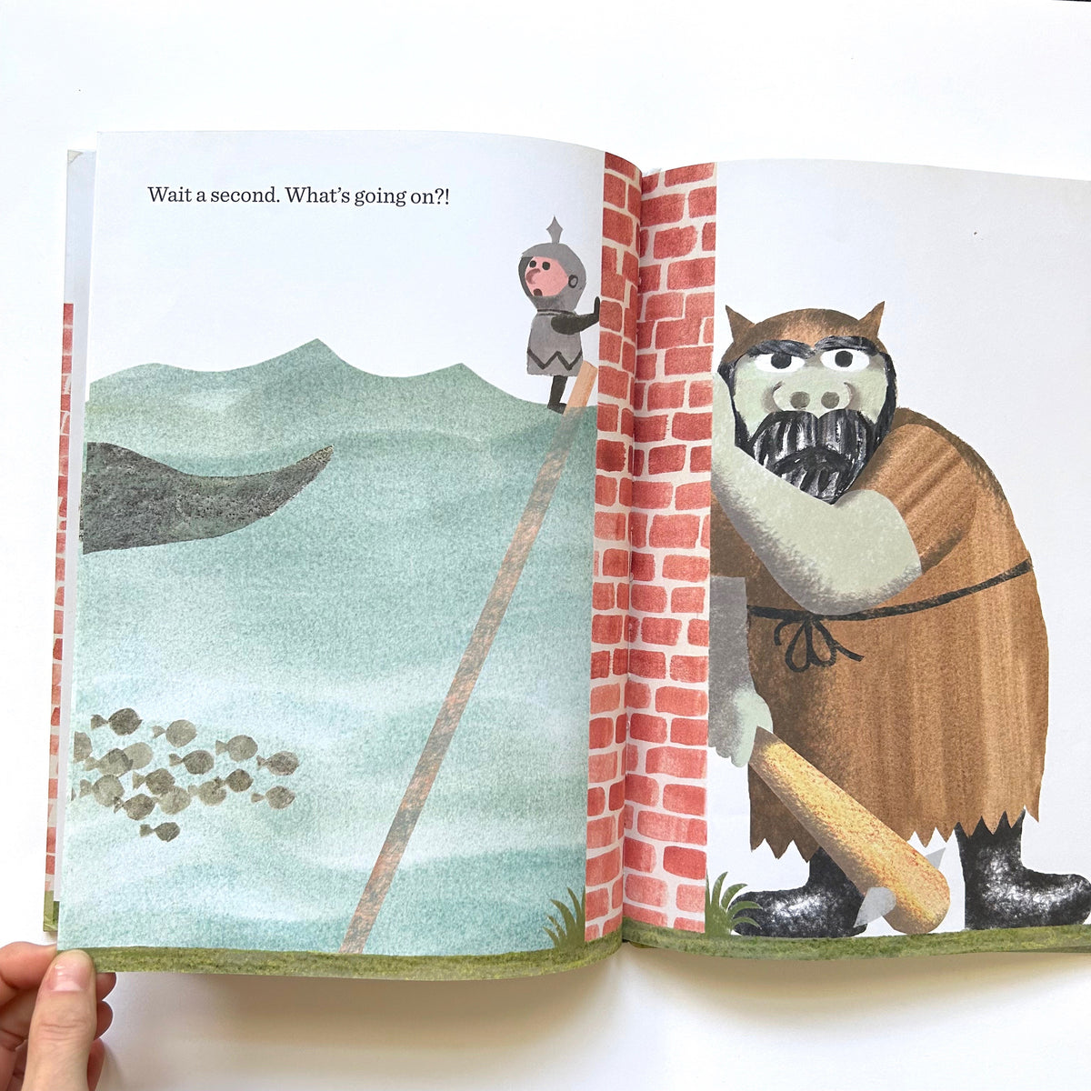 The Wall in the Middle of the Book
