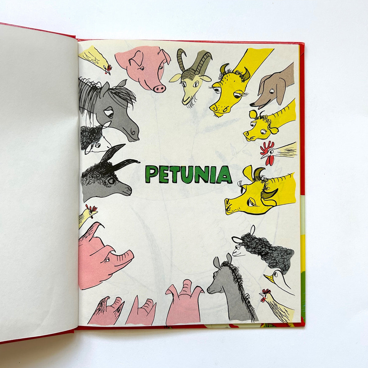 Petunia