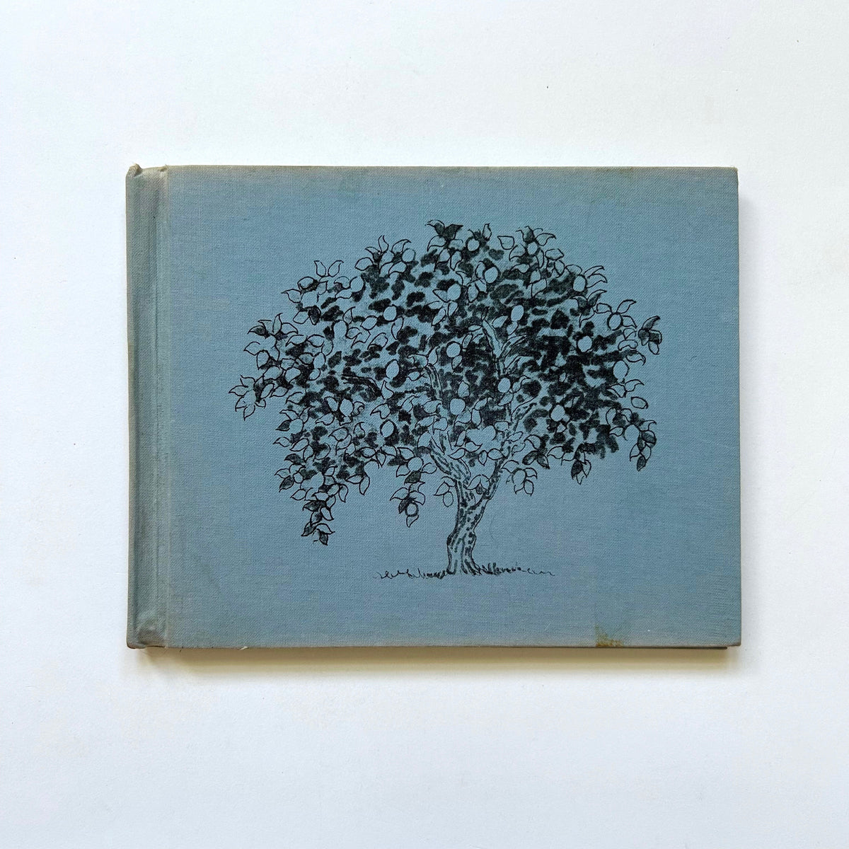 Under the Lemon Tree