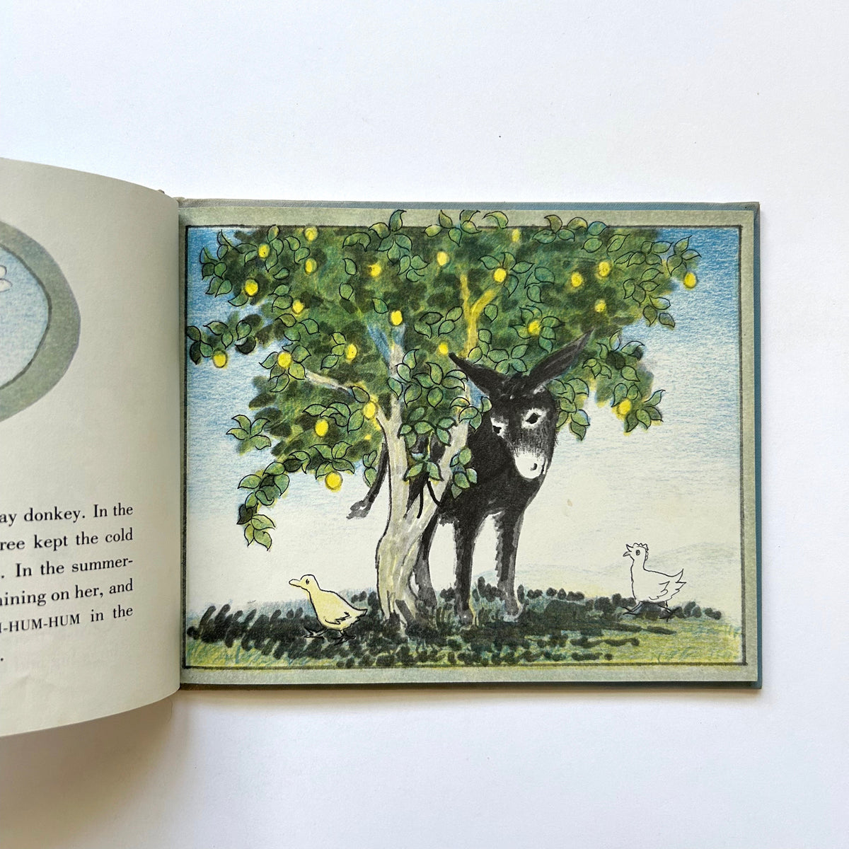 Under the Lemon Tree