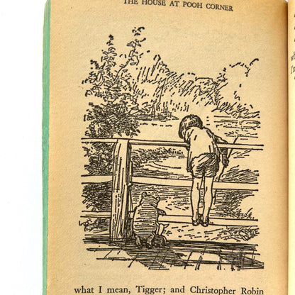The House at Pooh Corner