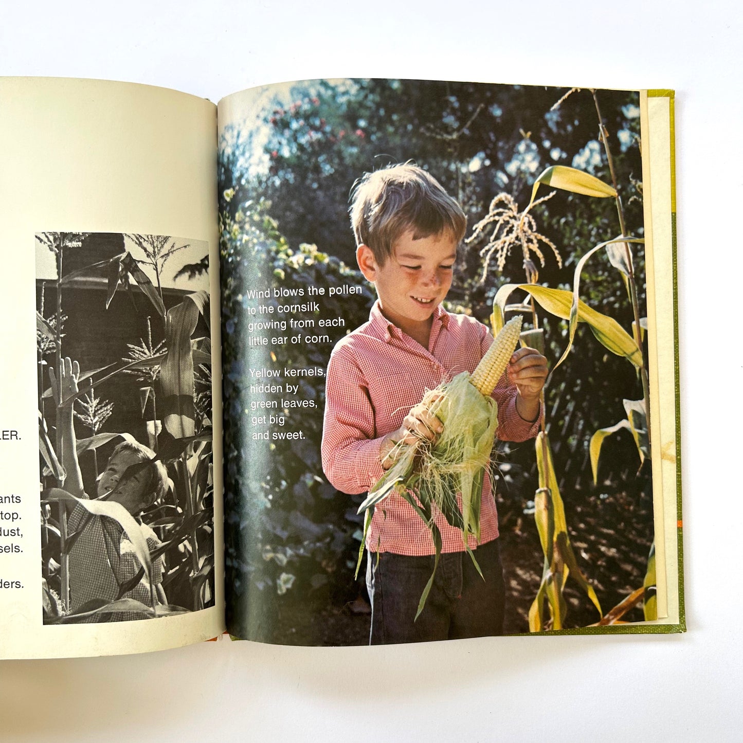 Eric Plants a Garden