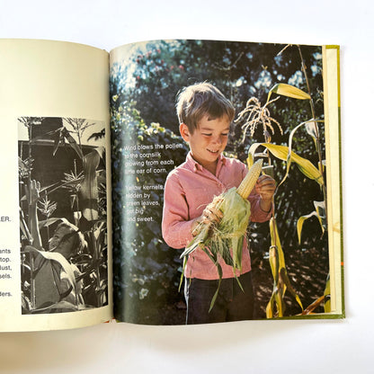 Eric Plants a Garden