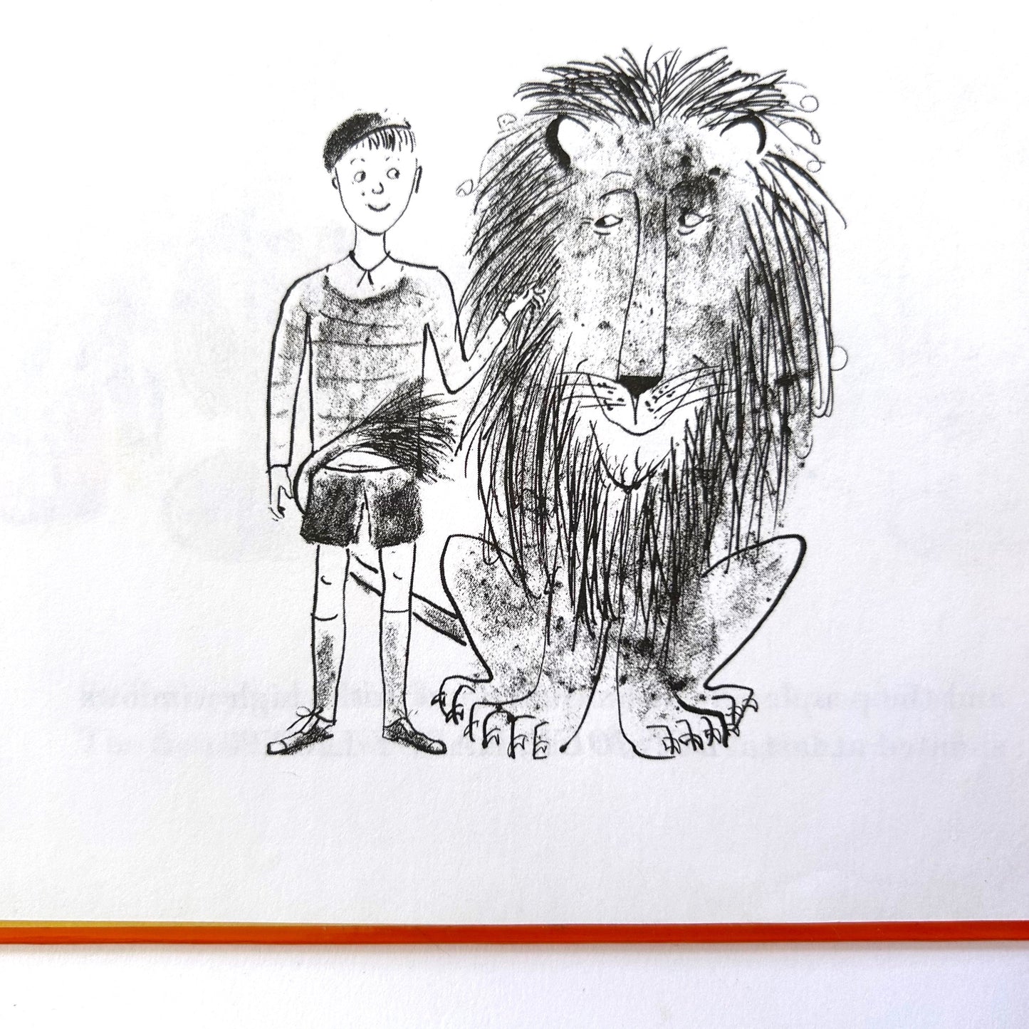 The Happy Lion