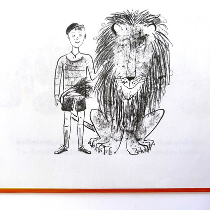 The Happy Lion
