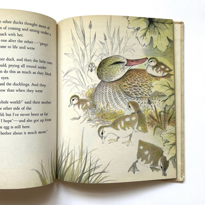 The Ugly Duckling
