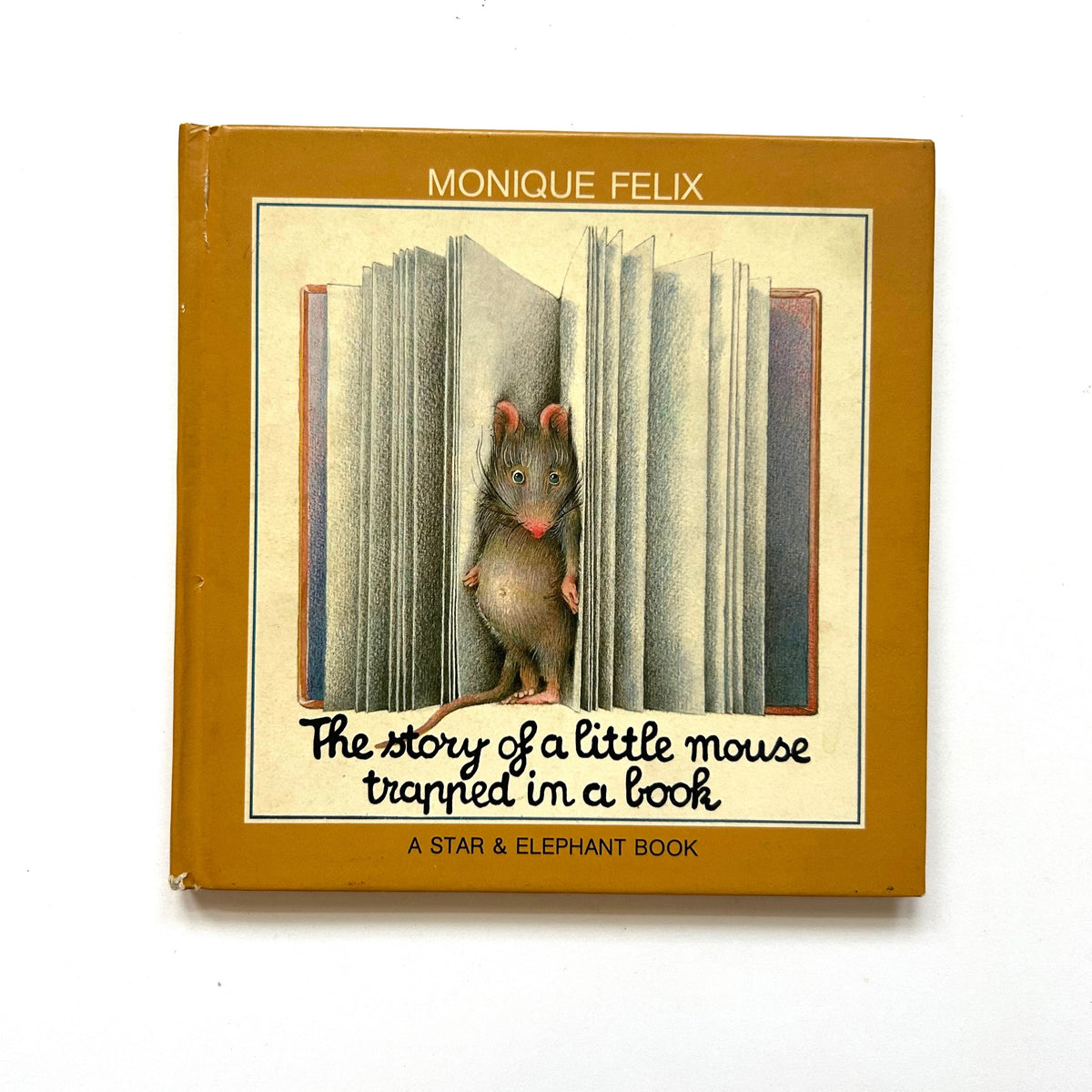 The Story of a Little Mouse Trapped in a Book