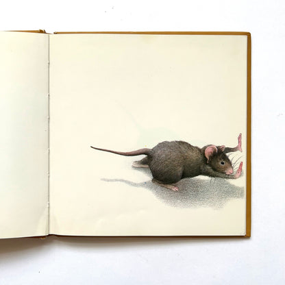 The Story of a Little Mouse Trapped in a Book