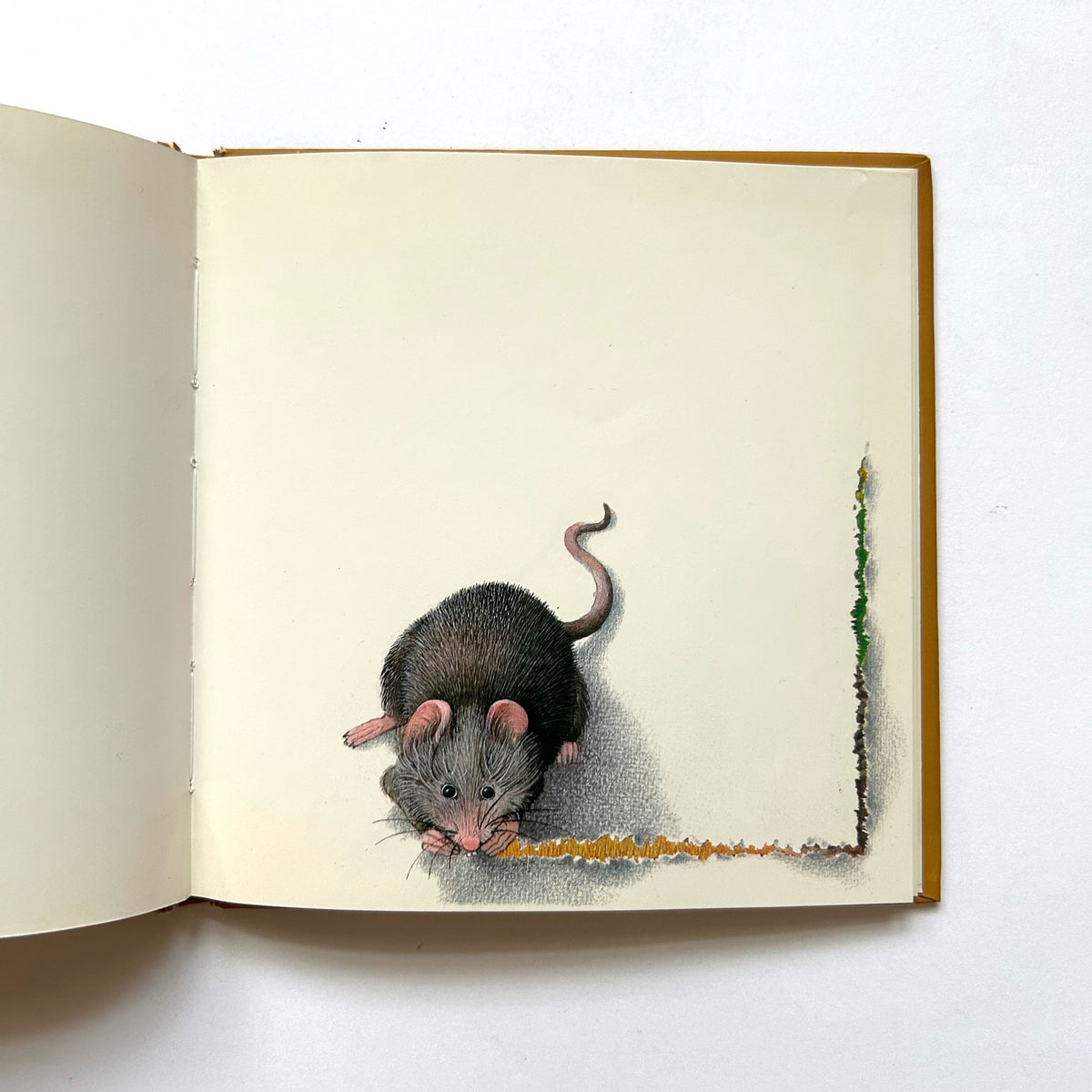 The Story of a Little Mouse Trapped in a Book