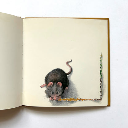 The Story of a Little Mouse Trapped in a Book