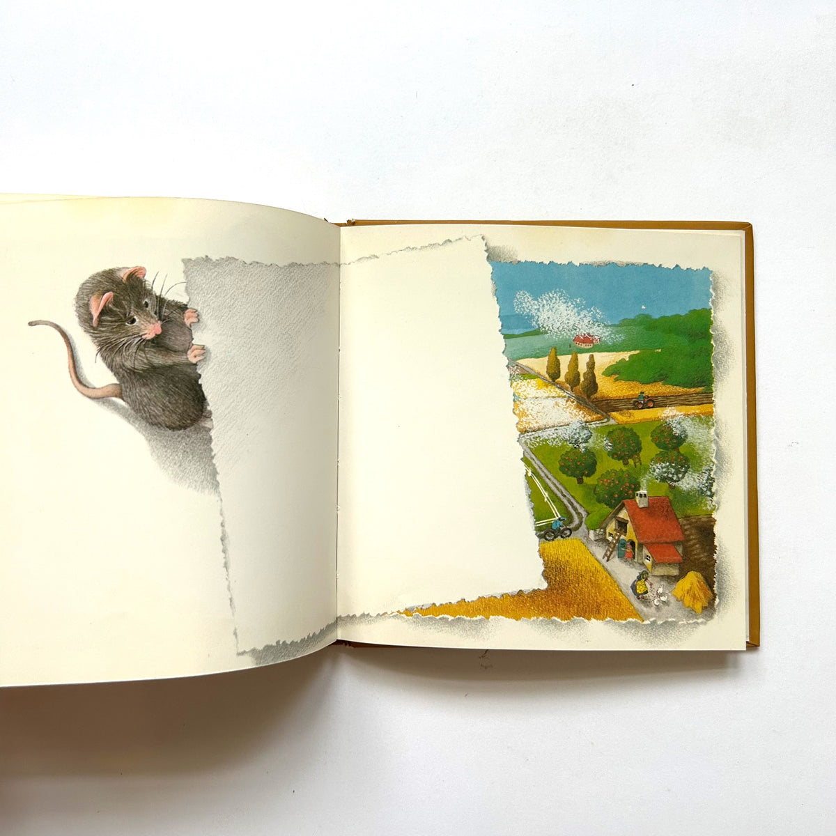 The Story of a Little Mouse Trapped in a Book