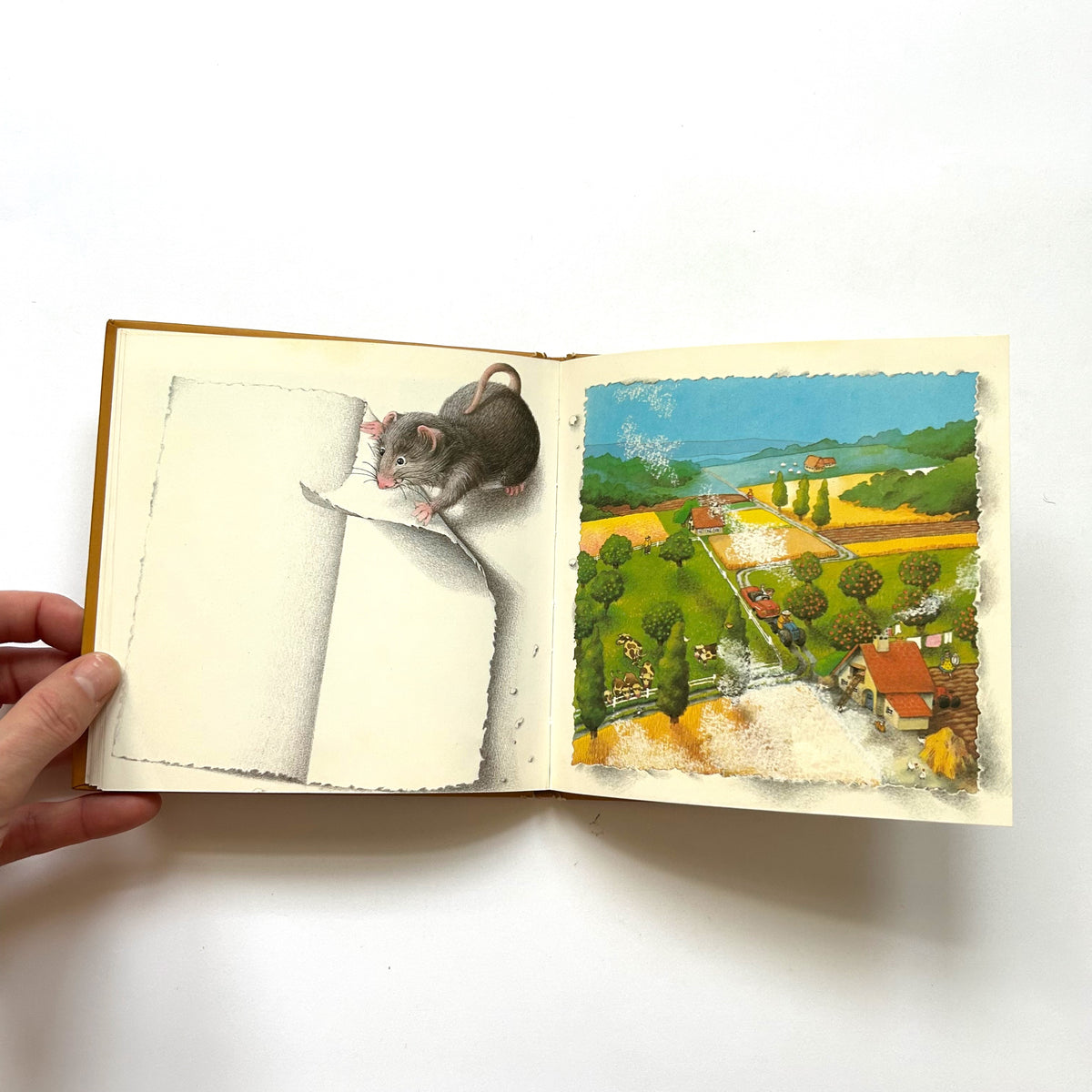 The Story of a Little Mouse Trapped in a Book