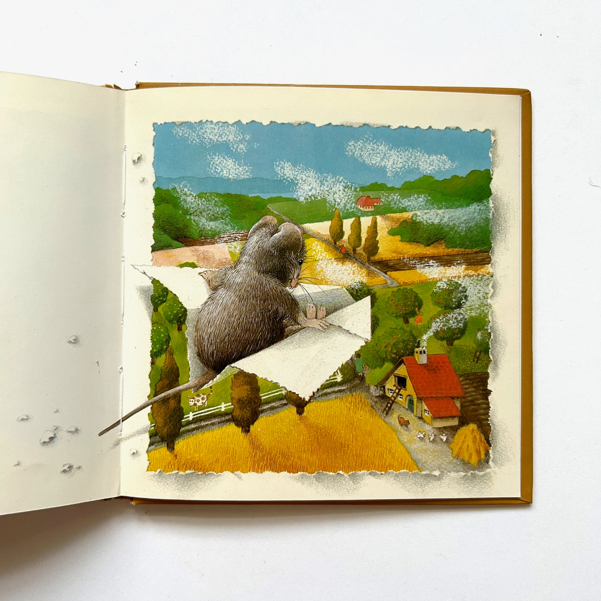The Story of a Little Mouse Trapped in a Book