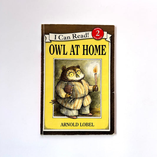 Owl At Home