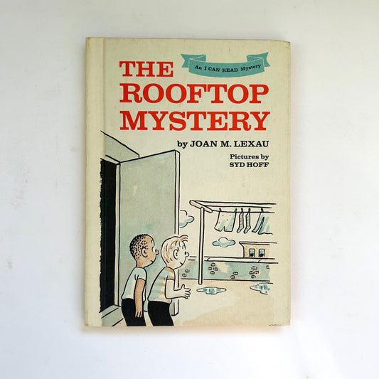 The Rooftop Mystery