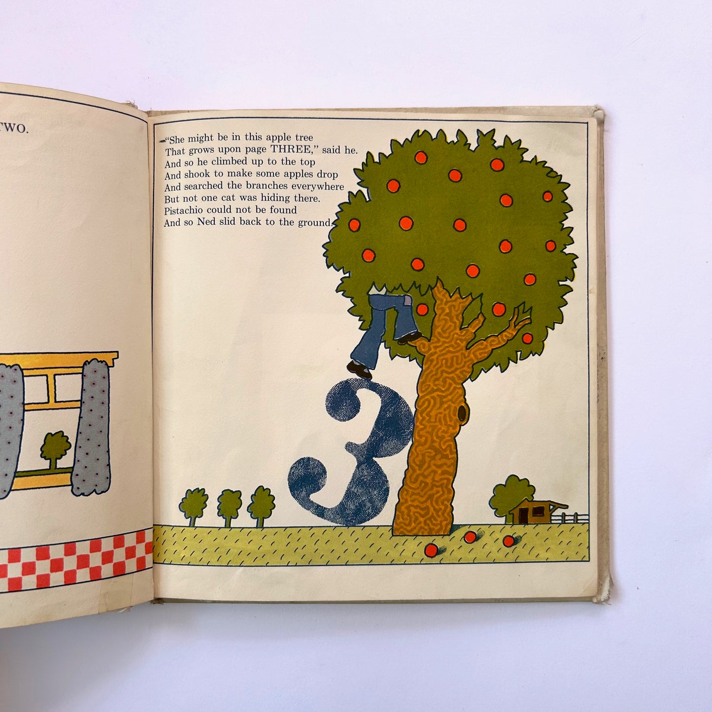 The Looking Book