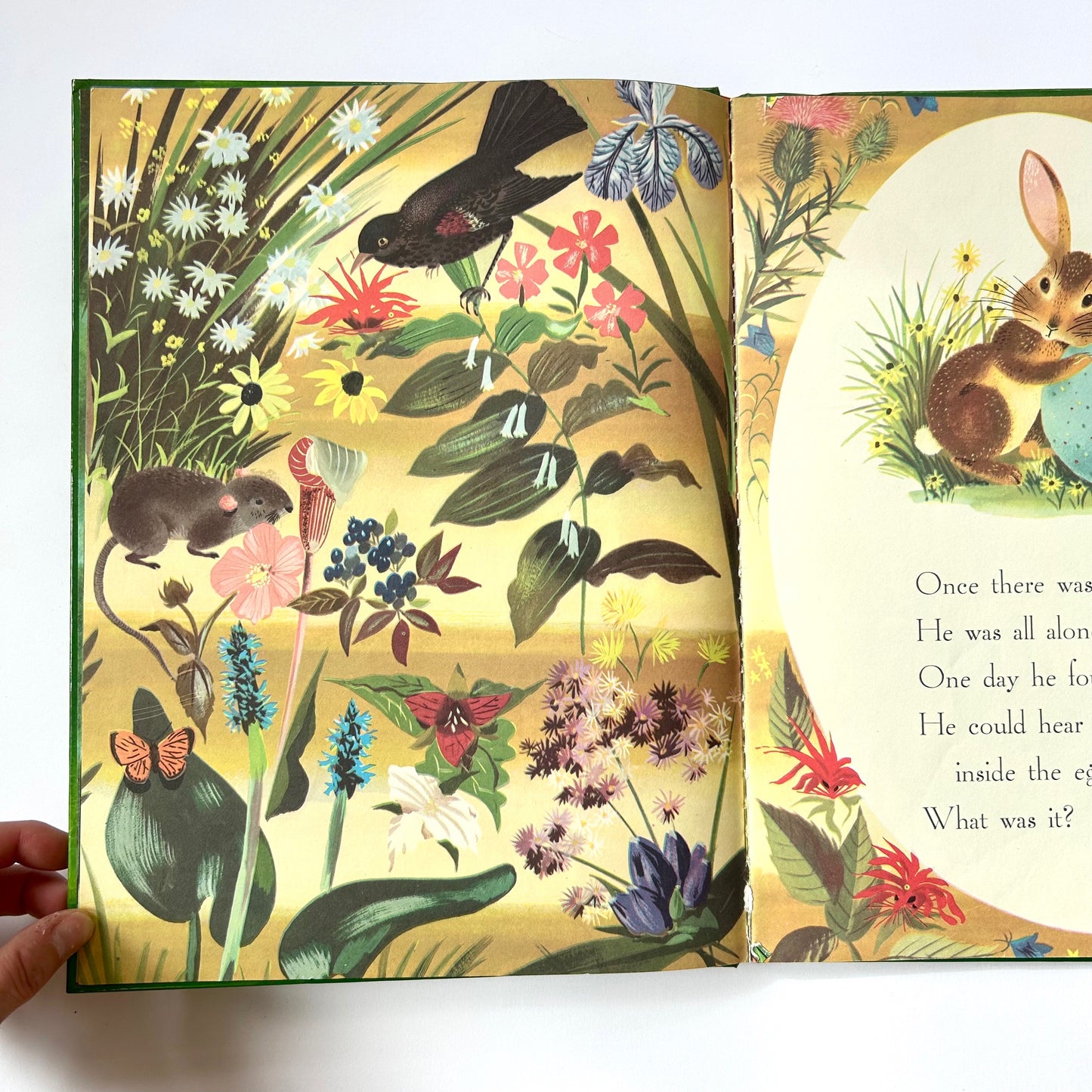 The Golden Egg Book