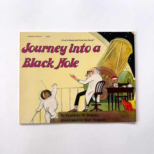 Journey Into a Black Hole