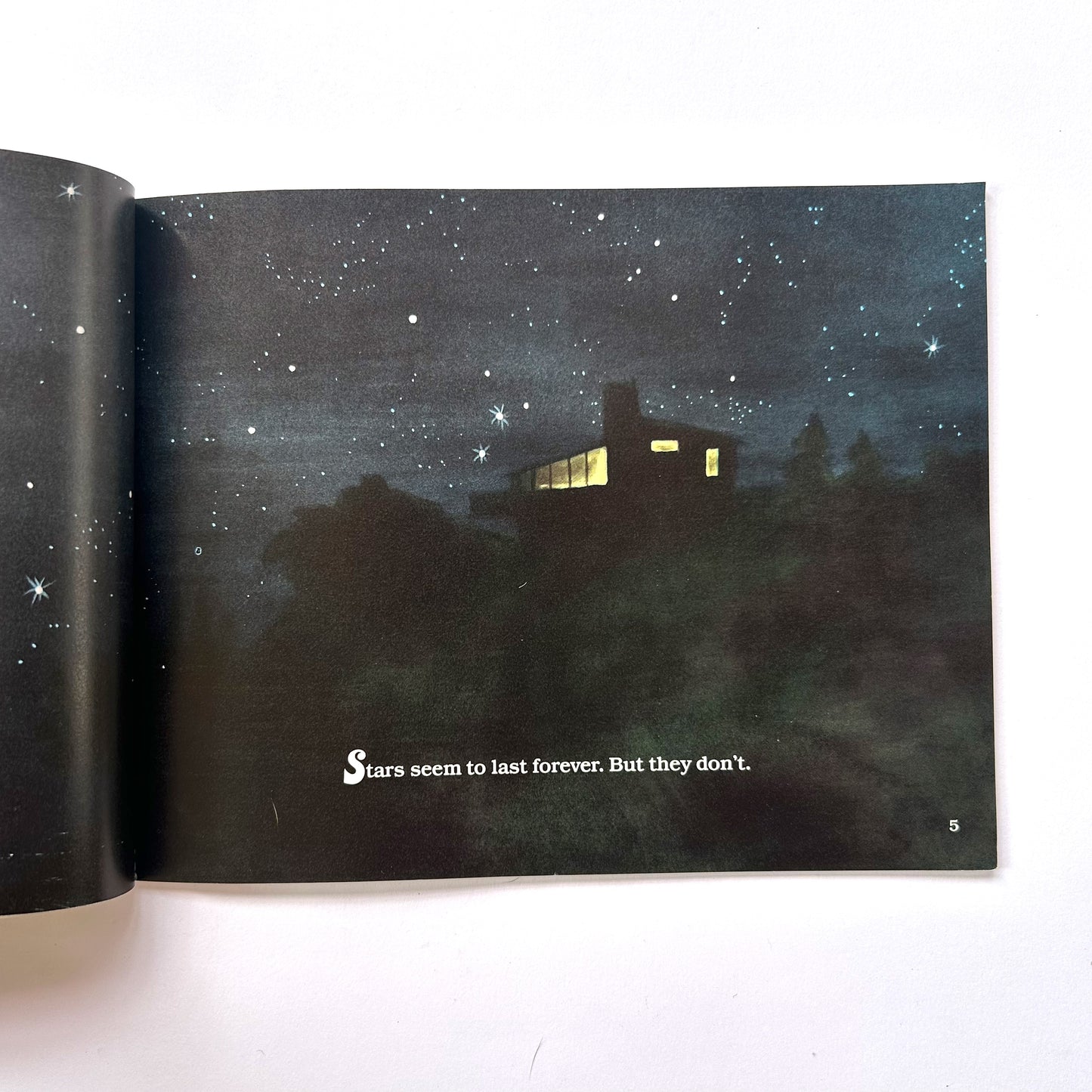 Journey Into a Black Hole