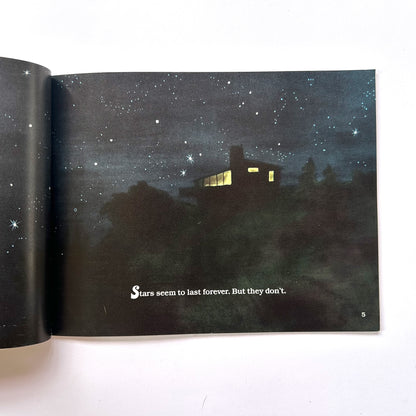 Journey Into a Black Hole