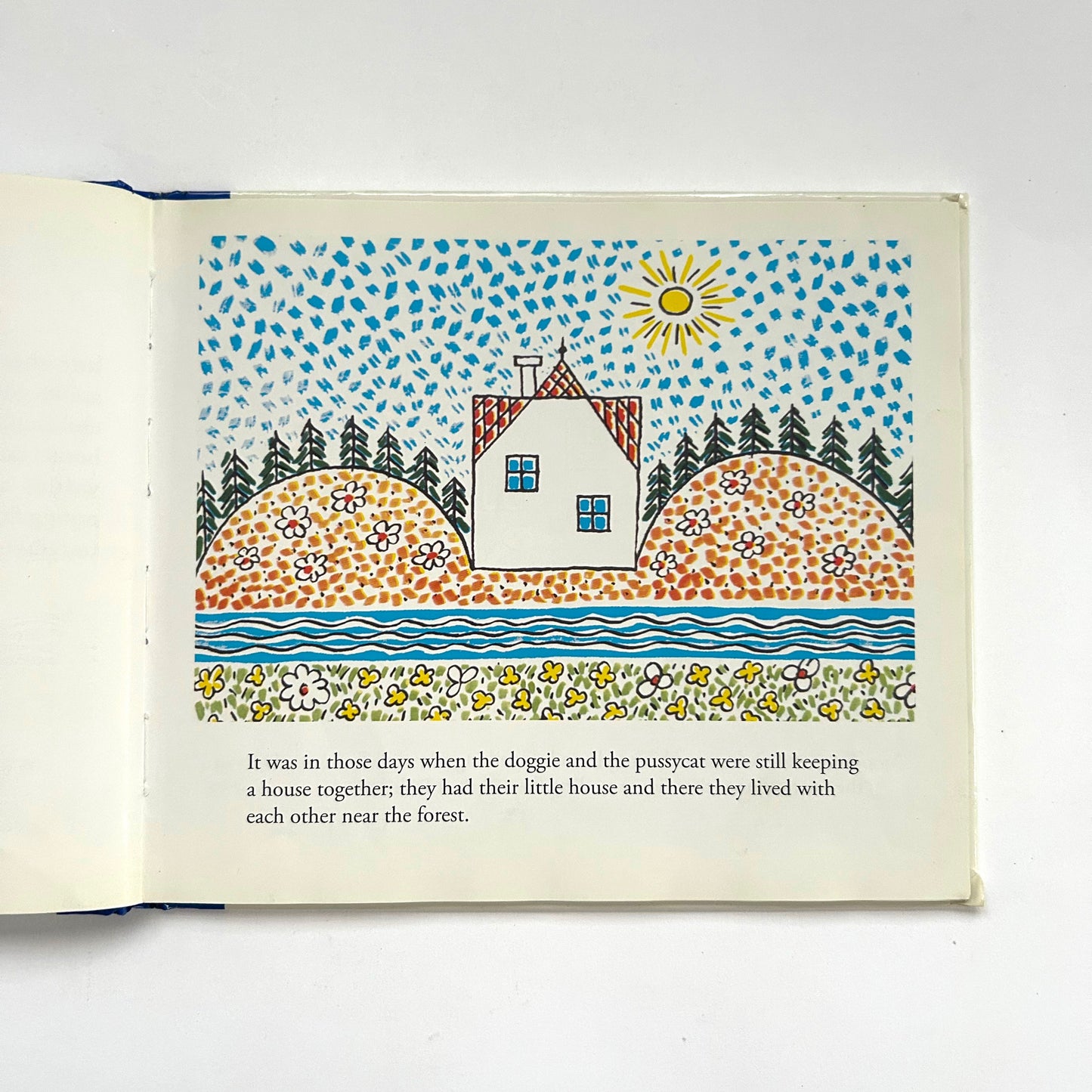 A Doggie and a Pussycat: How They Were Washing the Floor