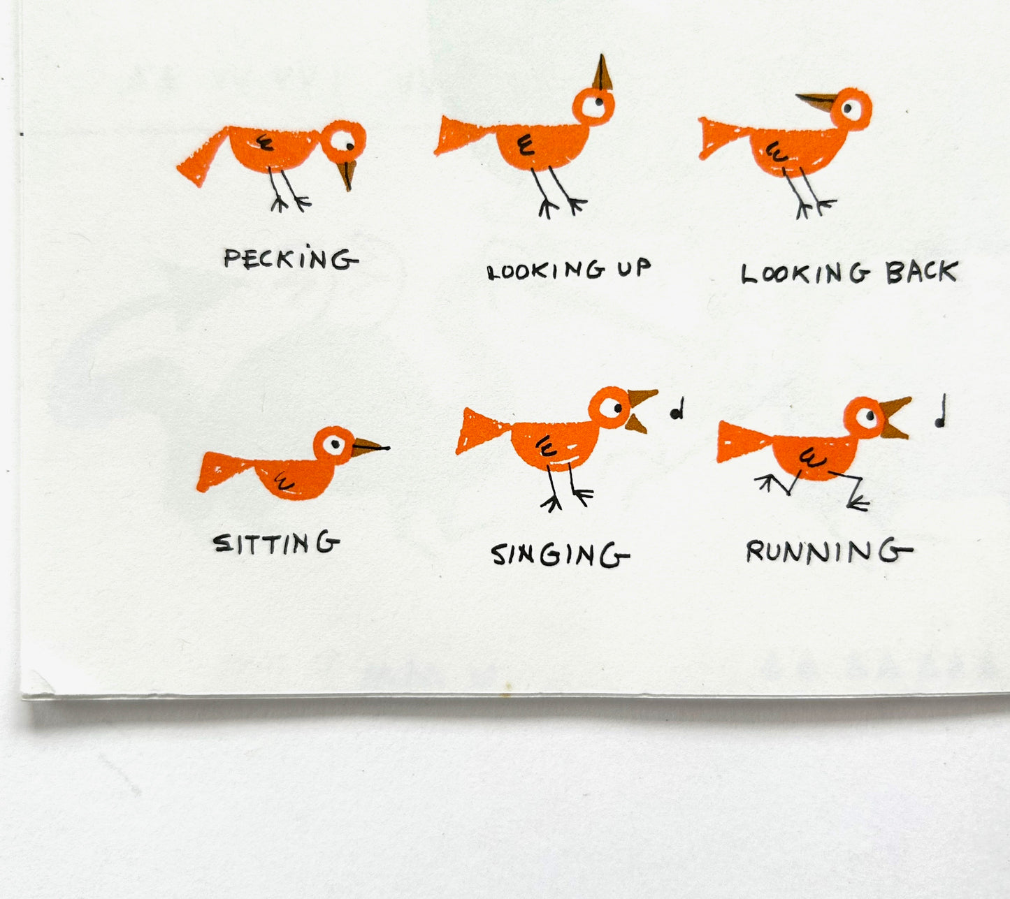Ed Emberley's Drawing Book of Animals