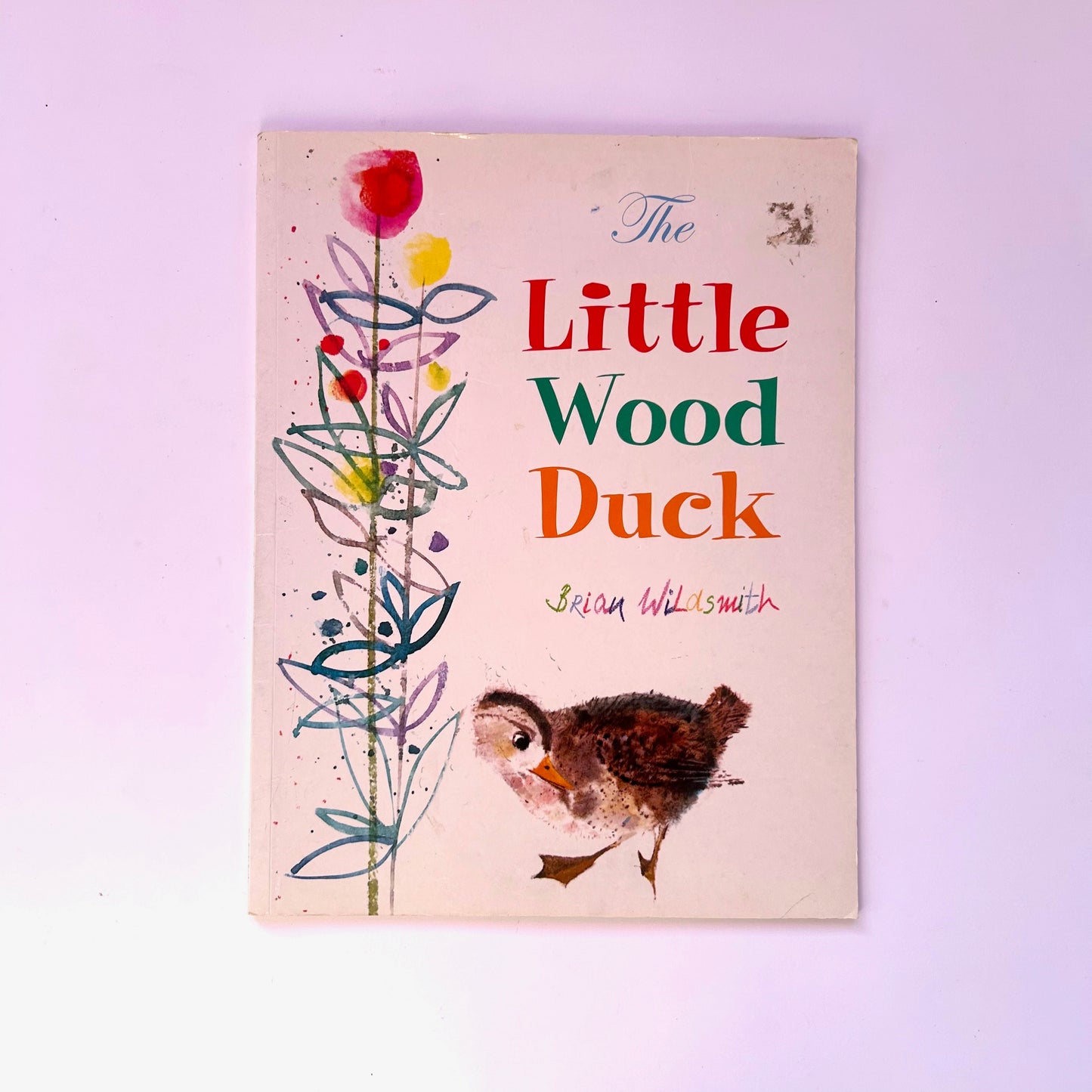 The Little Wood Duck
