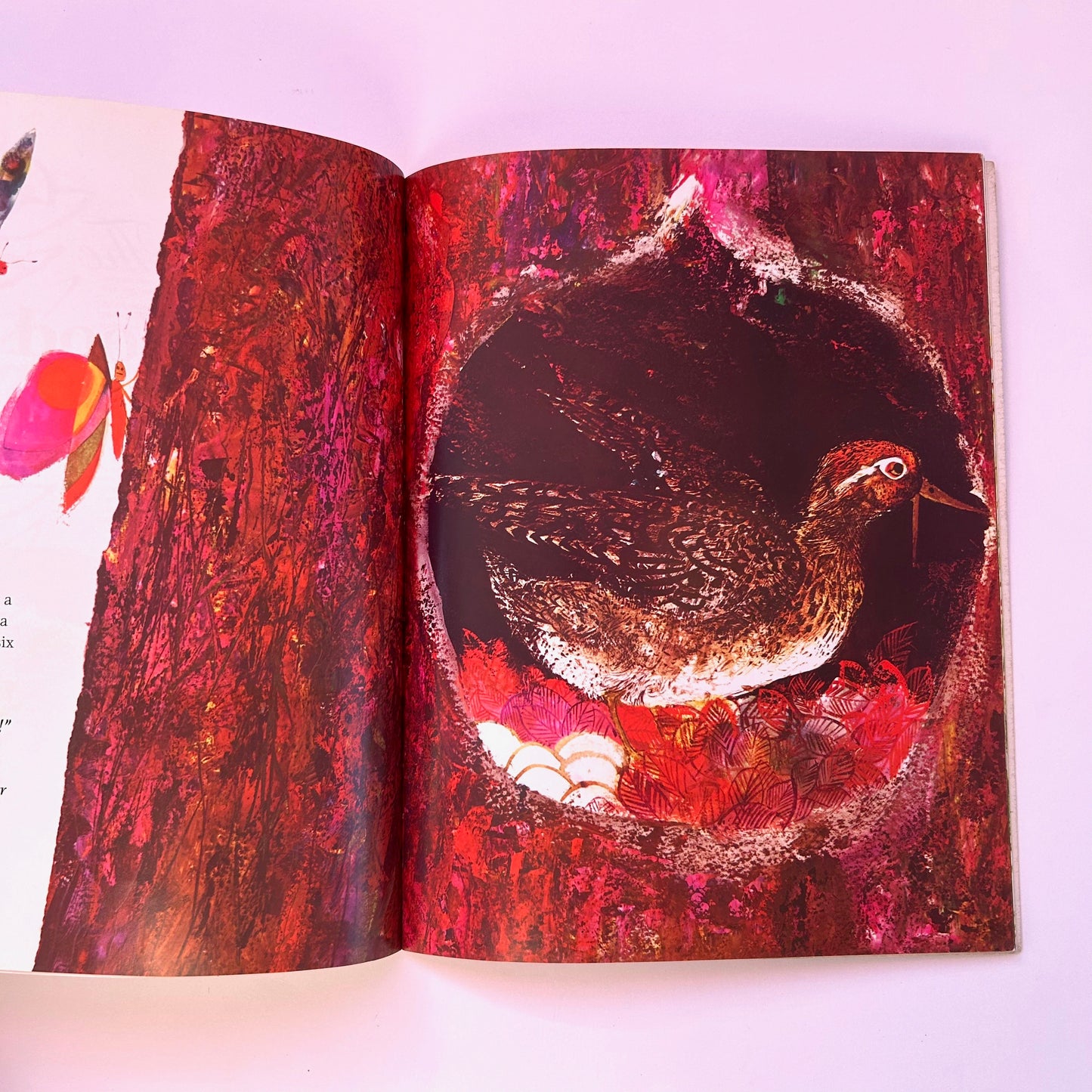 The Little Wood Duck