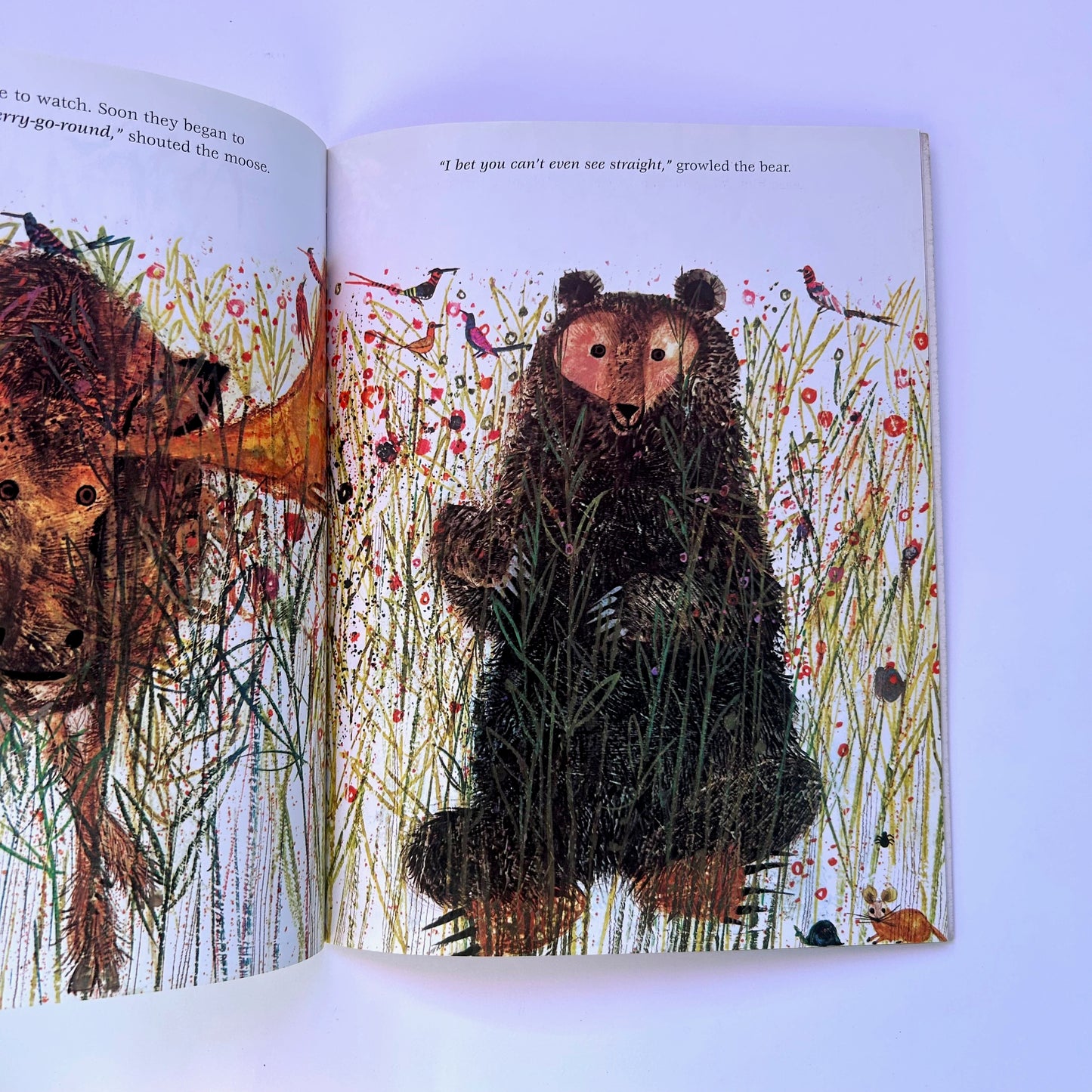 The Little Wood Duck