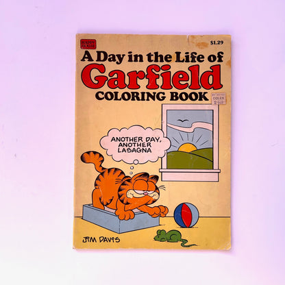 A Day in the Life of Garfield Coloring Book