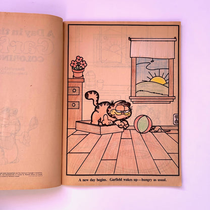 A Day in the Life of Garfield Coloring Book