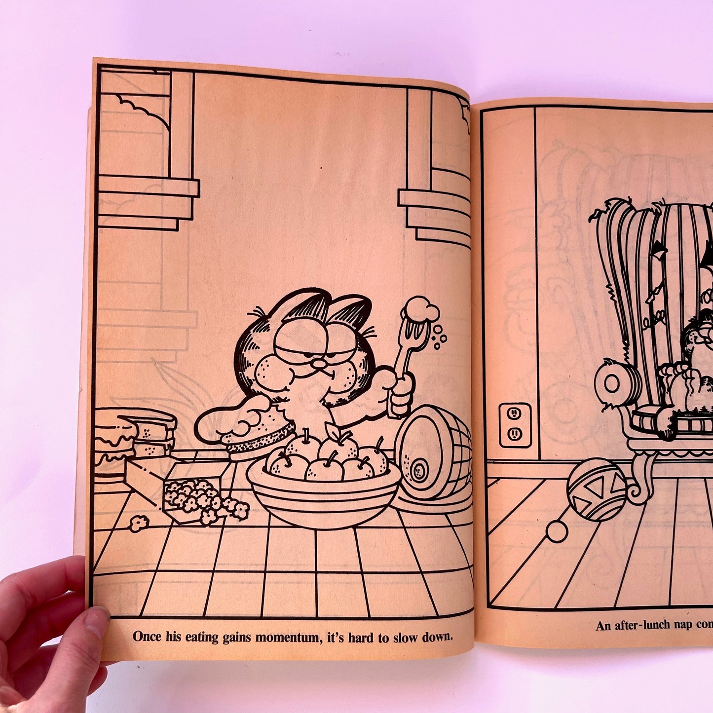 A Day in the Life of Garfield Coloring Book