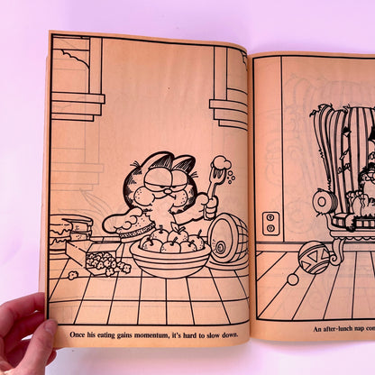 A Day in the Life of Garfield Coloring Book