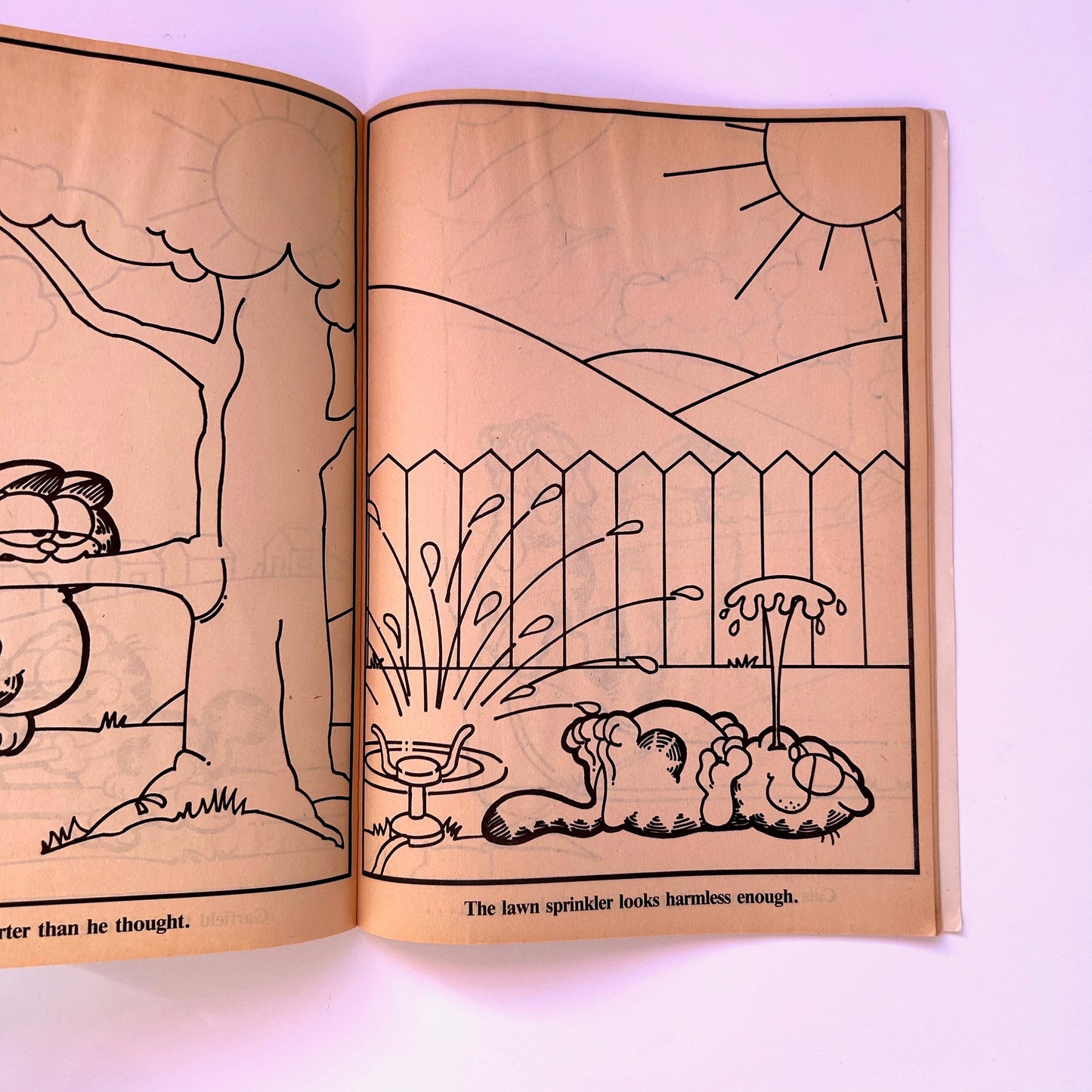 A Day in the Life of Garfield Coloring Book