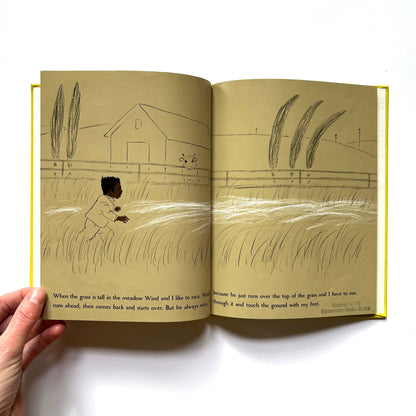 Gilberto and the Wind