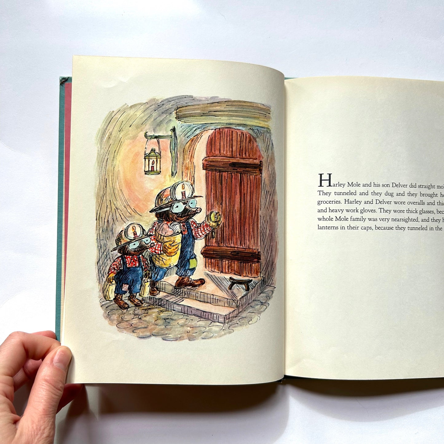 The Mole Family's Christmas