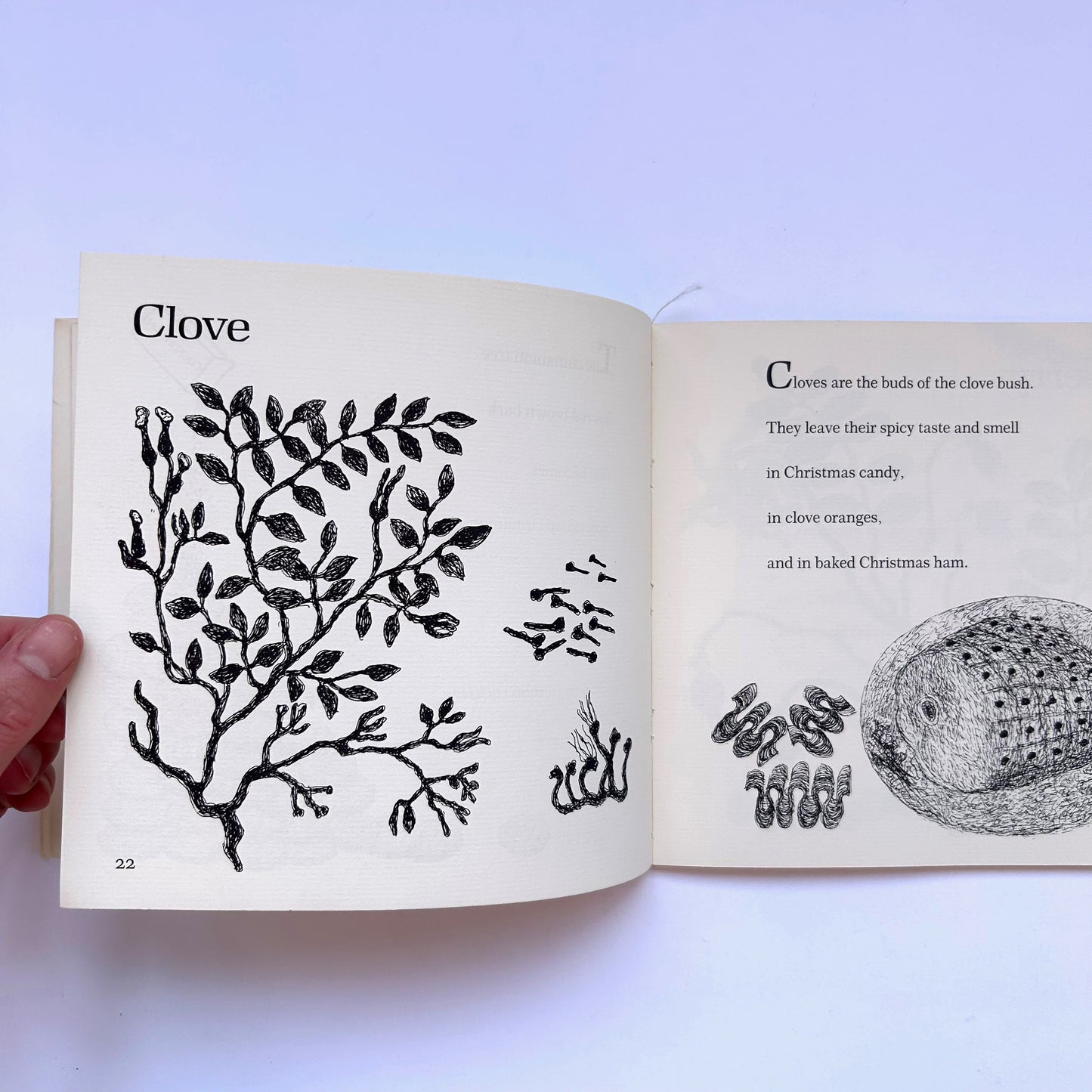 The Christmas Cupboard