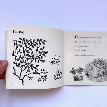 The Christmas Cupboard