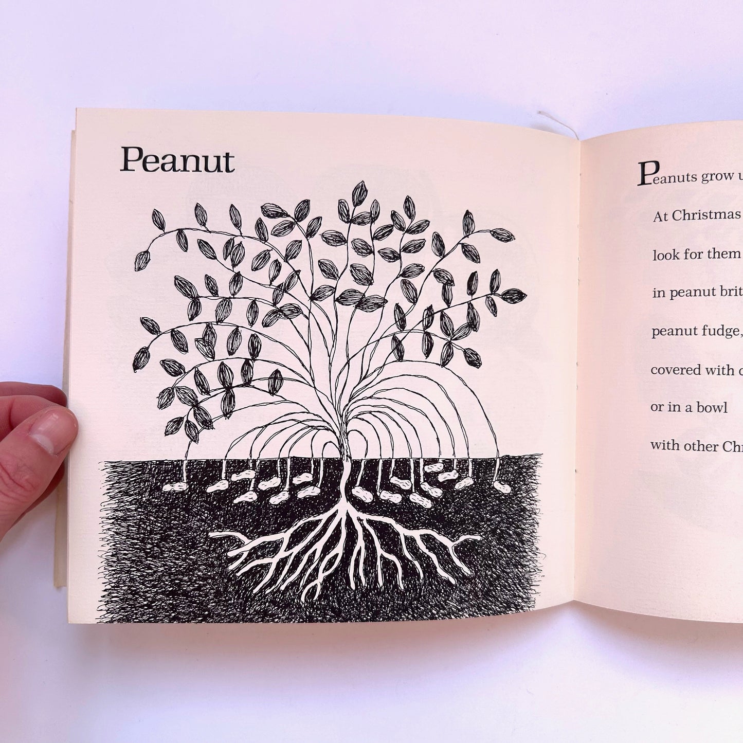 The Christmas Cupboard