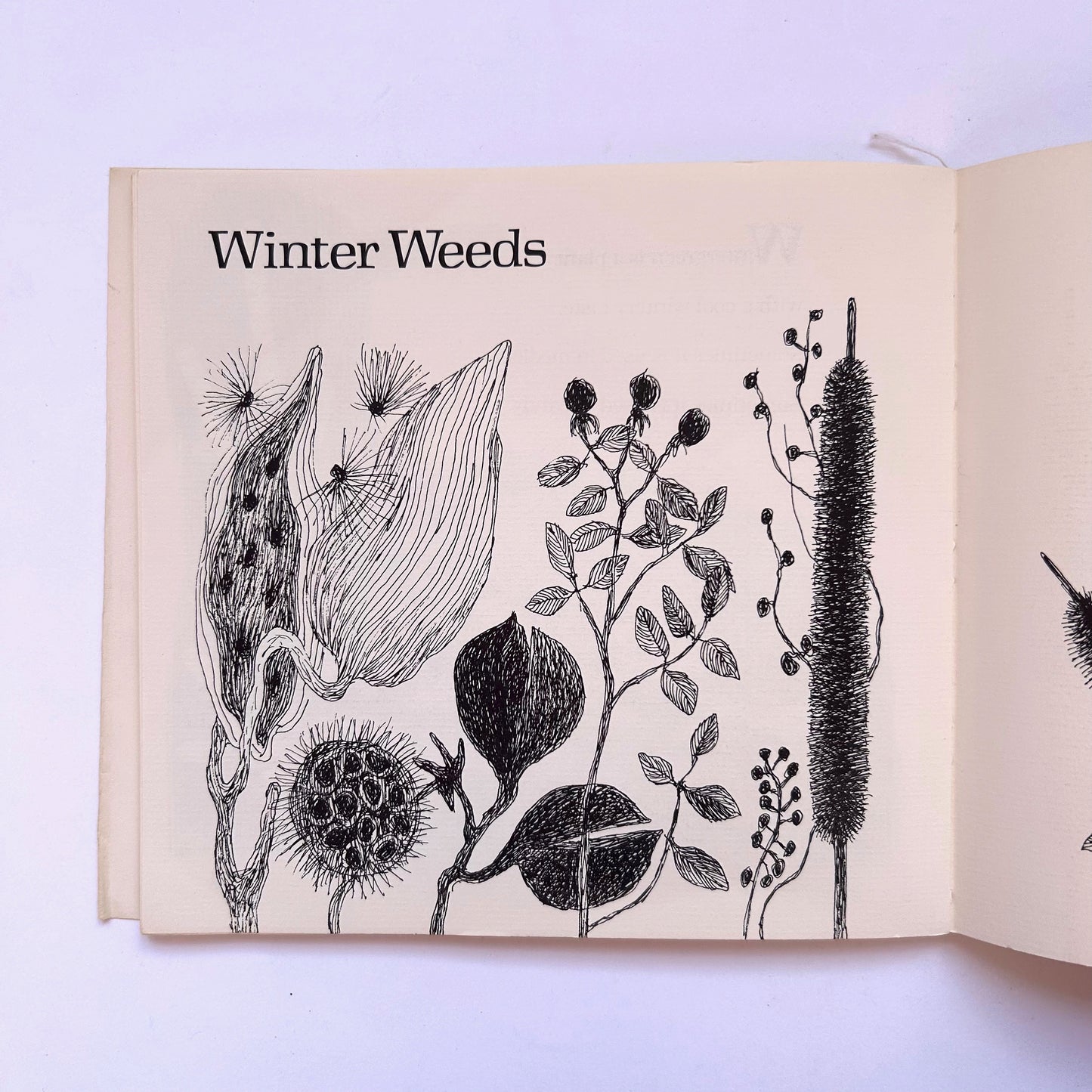 The Christmas Cupboard