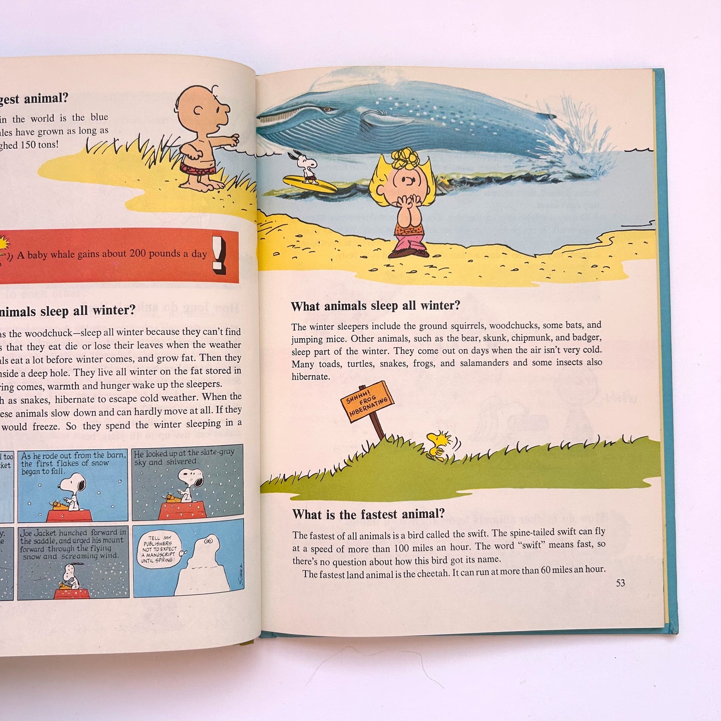 Charlie Brown's 'Cyclopedia Vol.2