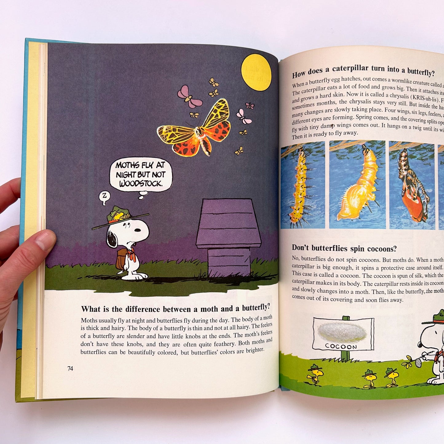 Charlie Brown's 'Cyclopedia Vol.2