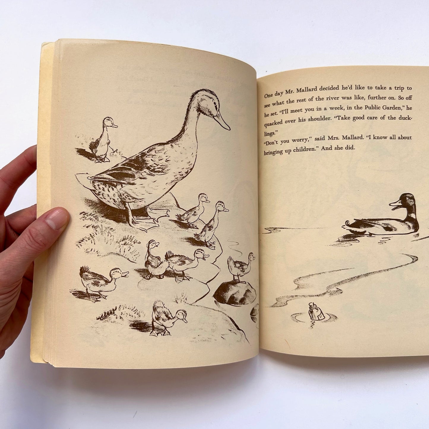 Make Way For Ducklings