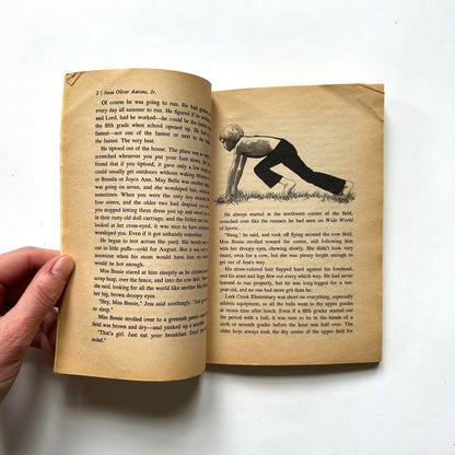 Bridge to Terabithia