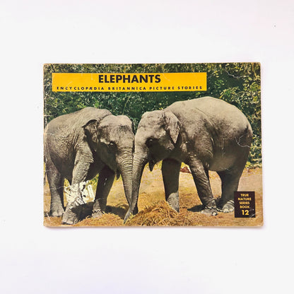Elephants