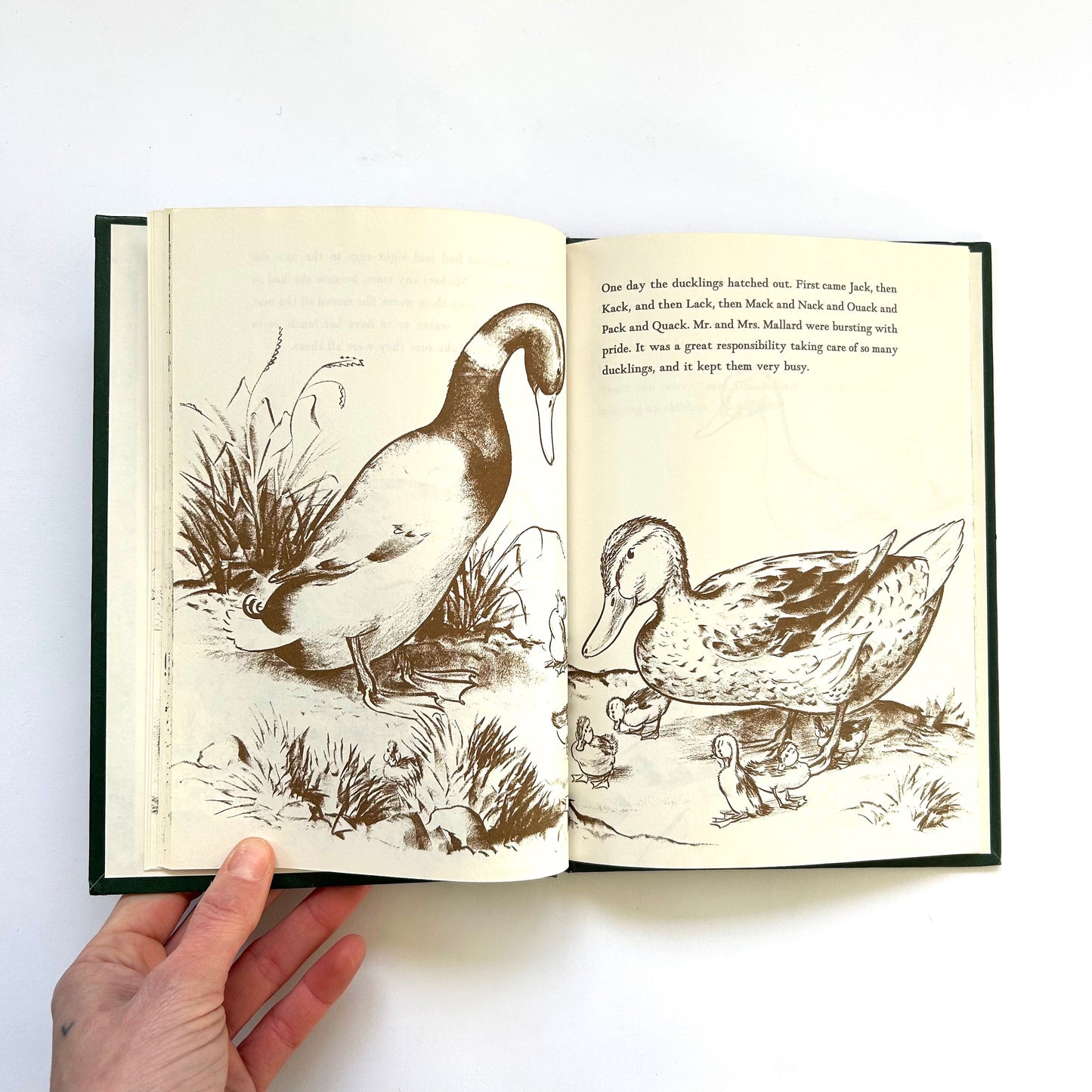 Make Way For Ducklings