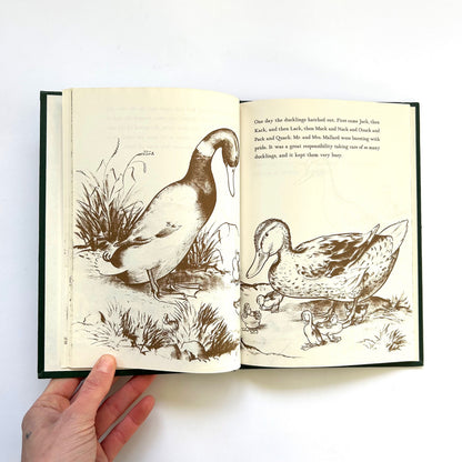 Make Way For Ducklings