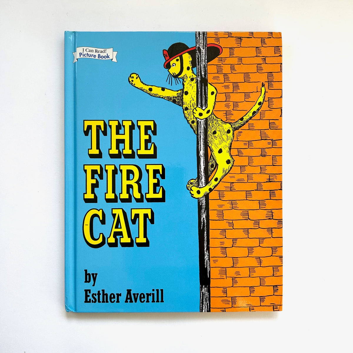 The Fire Cat