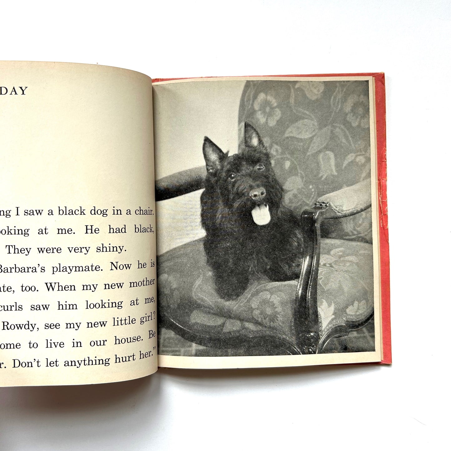 The Story of Delicia