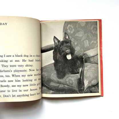 The Story of Delicia